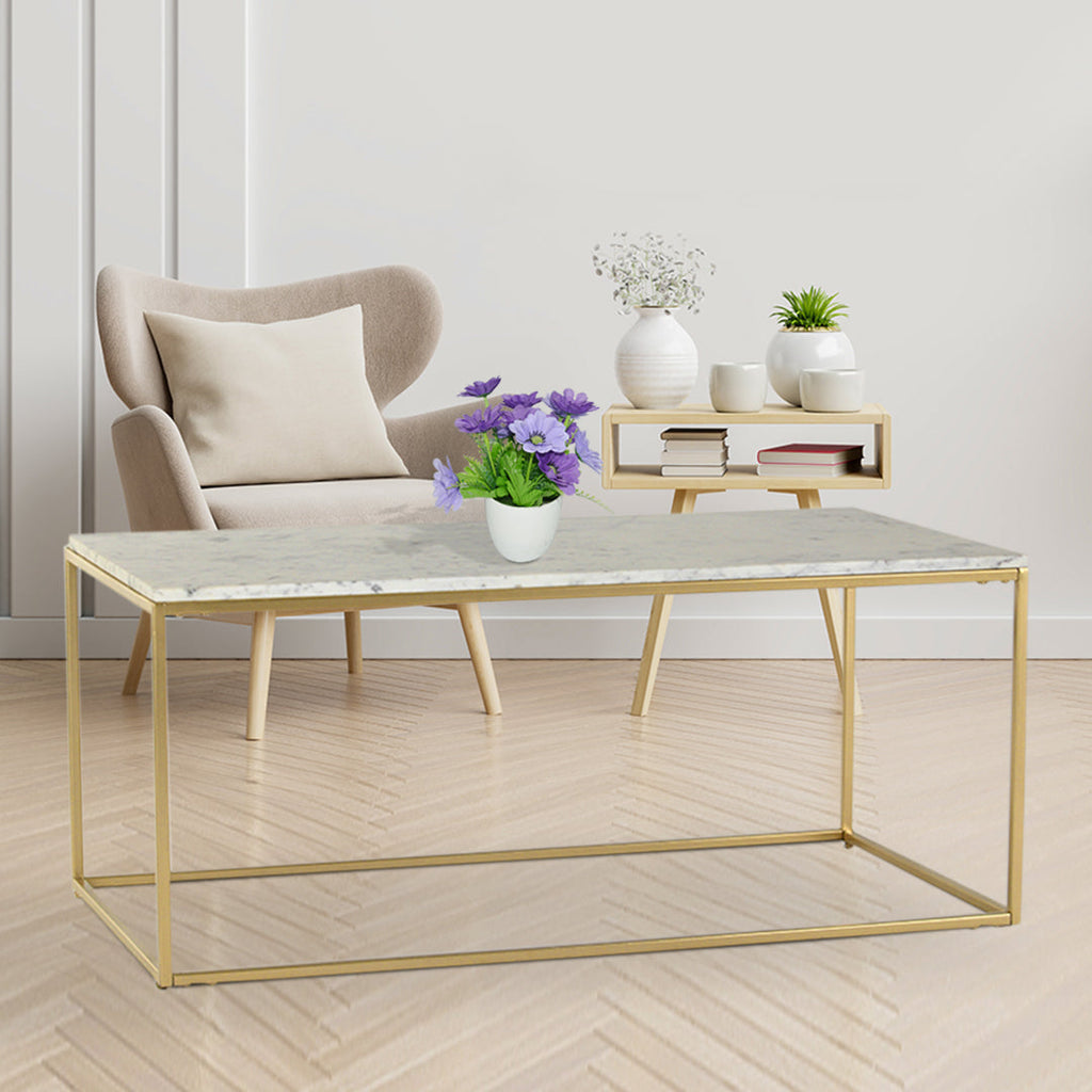 Windsor Marble Coffee Table - Claymint® - Online Modern Furniture Store India