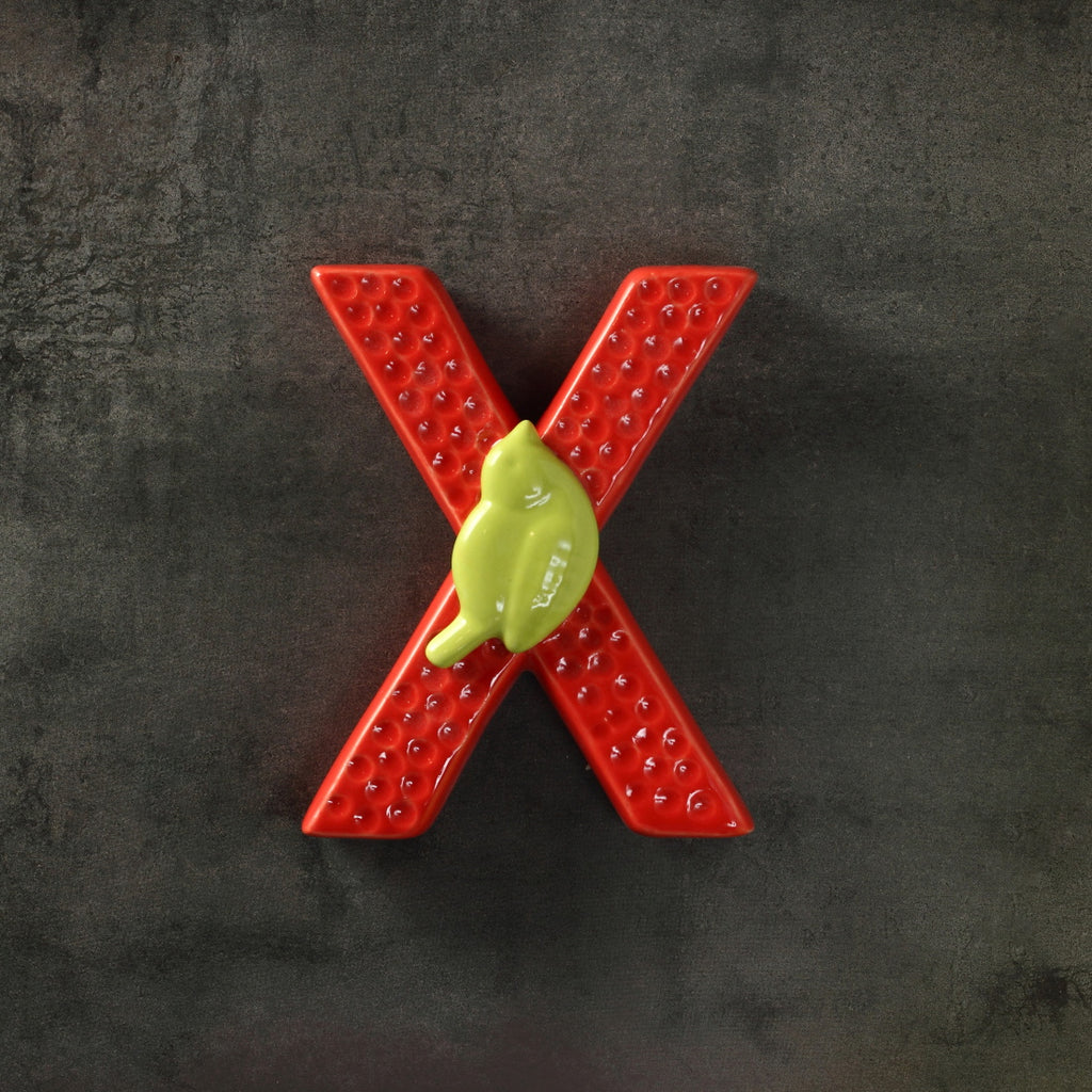 Home - Lil Bird Letter X