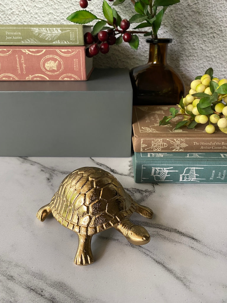Tortoise Decor Accessory