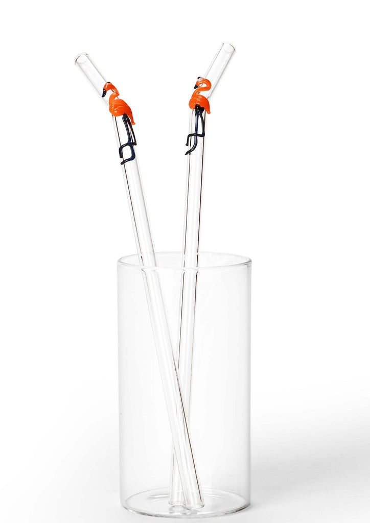 Glass Straws - Quirky (Flamingo)