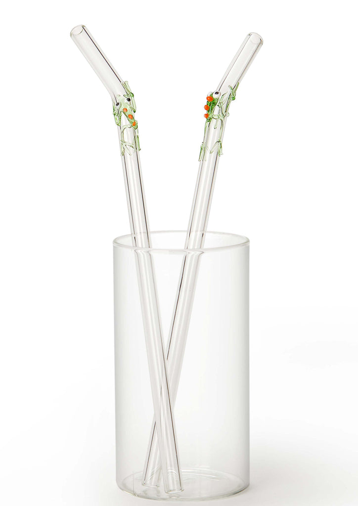 Glass Straws - Quirky (Frog)