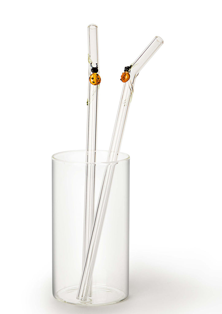 Glass Straws - Quirky (Lady Bird)